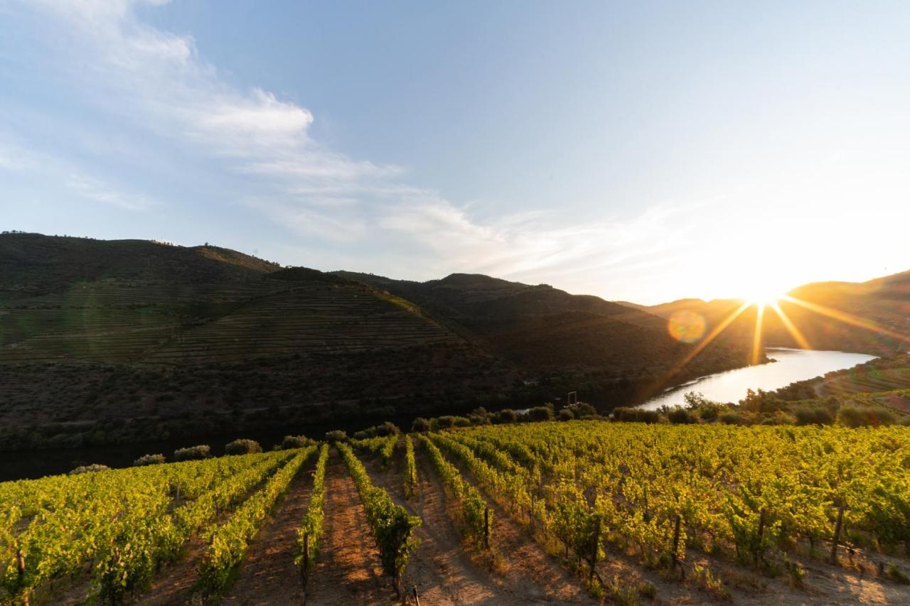 Quinta De S. Jose - Turismo Rural Ervedosa do Douro Luaran gambar