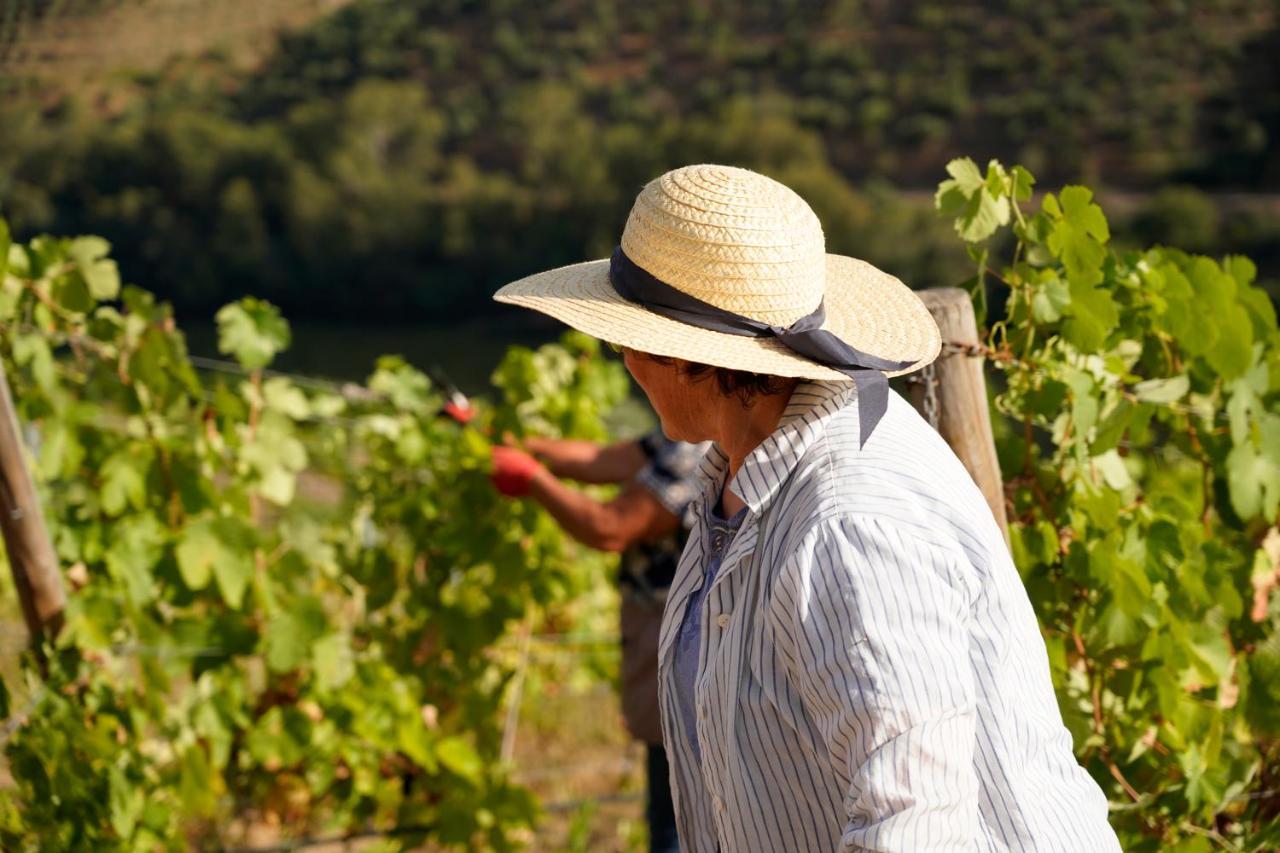 Quinta De S. Jose - Turismo Rural Ervedosa do Douro Luaran gambar