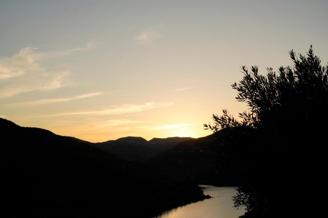 Quinta De S. Jose - Turismo Rural Ervedosa do Douro Luaran gambar
